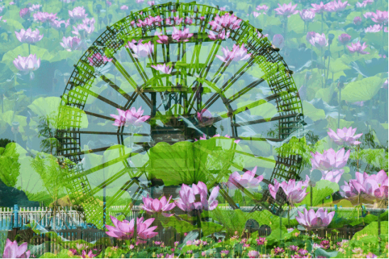 南宫NG·28(中国)最新官方网站