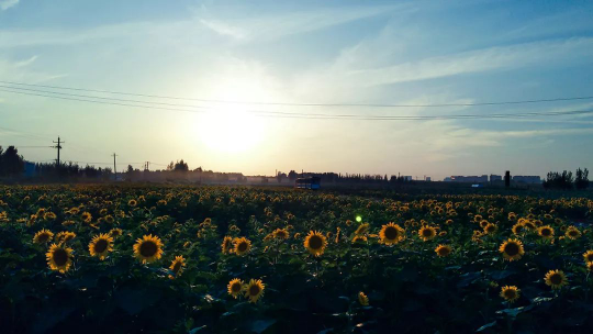 南宫NG·28(中国)最新官方网站