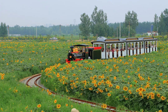 南宫NG·28(中国)最新官方网站