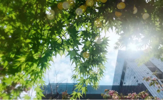 南宫NG·28(中国)最新官方网站