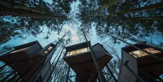 南宫NG·28(中国)最新官方网站