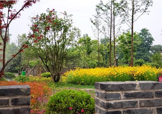 南宫NG·28(中国)最新官方网站