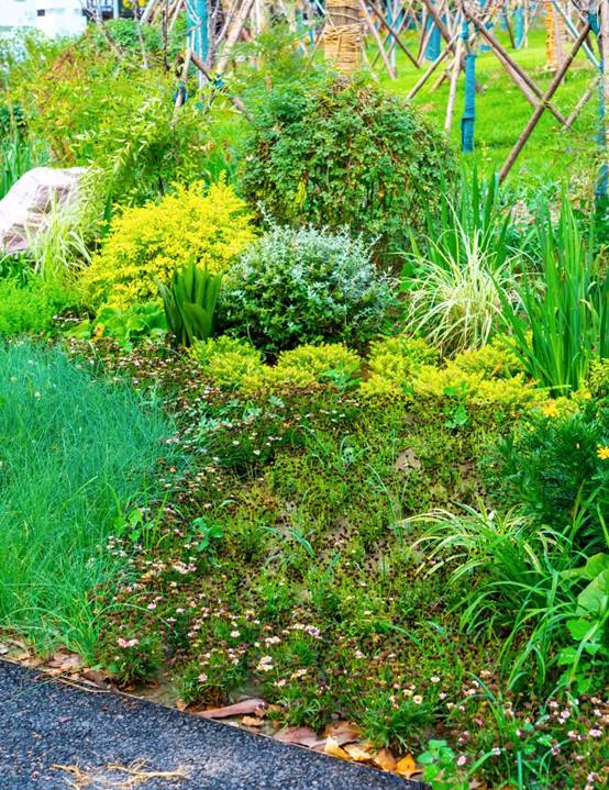 南宫NG·28(中国)最新官方网站